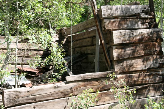 2008 White Family Reunion at Big Rock Candy Mountain, Utah
